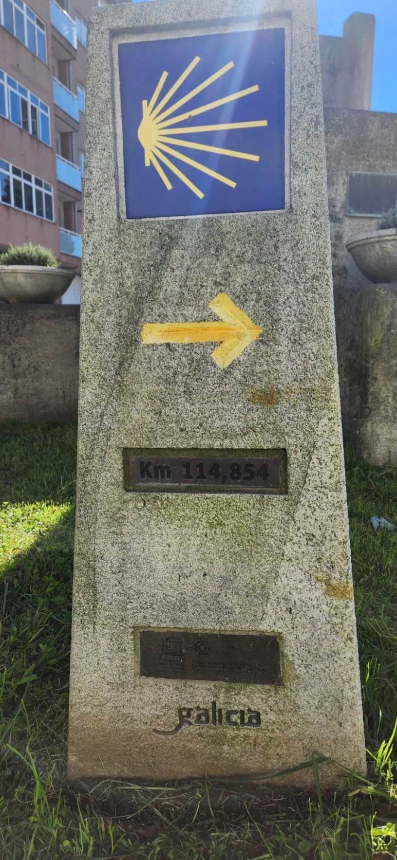 20241013%EF%BC%BF125023.jpg?type=w773