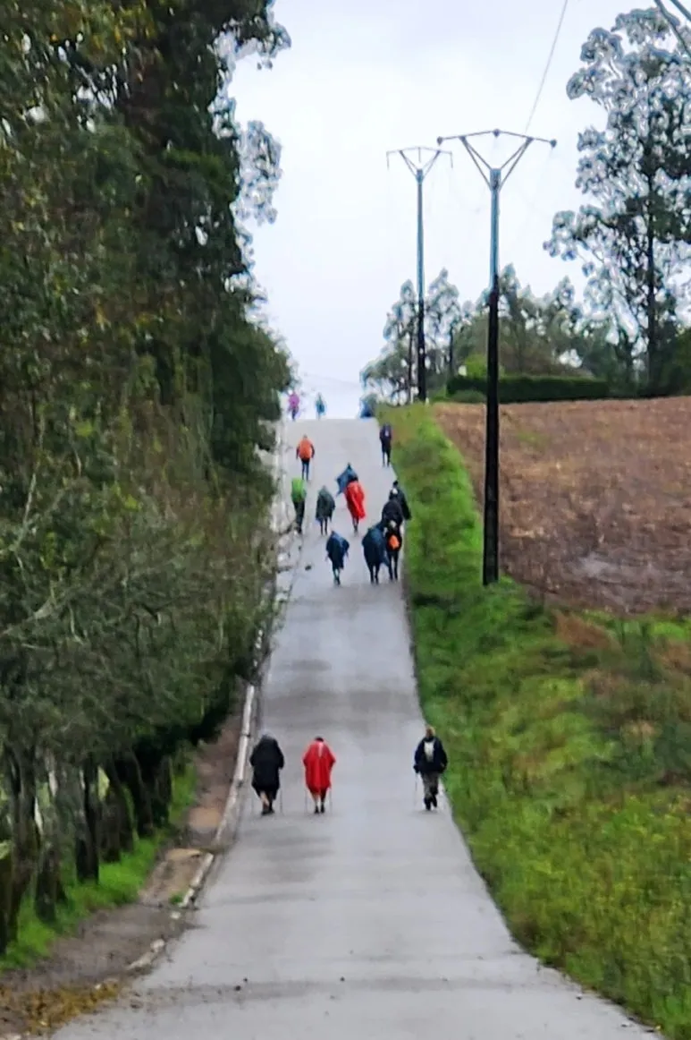 1729362137381.jpg?type=w773