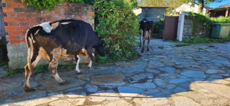 20241013%EF%BC%BF111744.jpg?type=w773