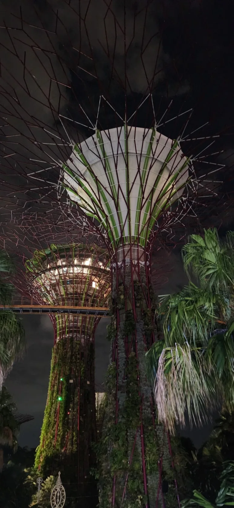 900%EF%BC%BF20250108%EF%BC%BF042257.jpg?type=w773