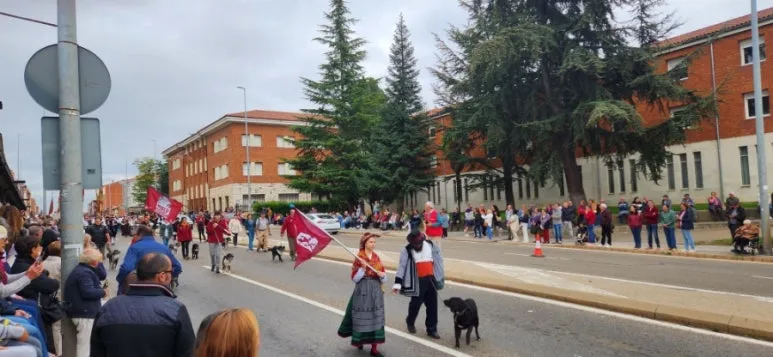 20241005%EF%BC%BF105925.jpg?type=w773