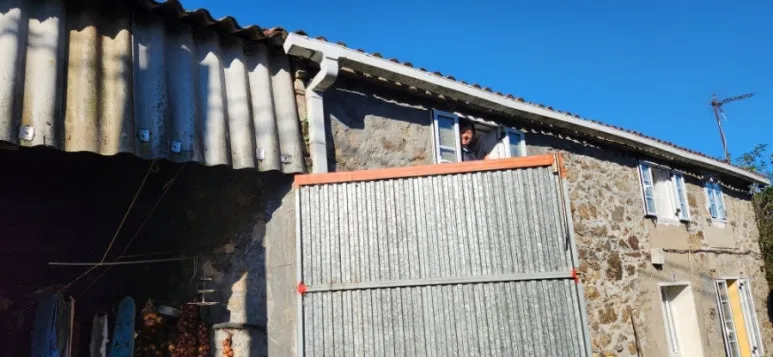 20241023%EF%BC%BF113920.jpg?type=w773