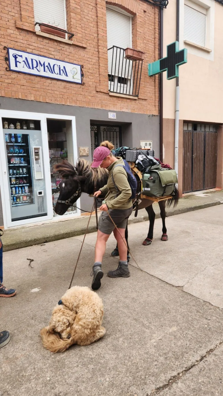 20240919%EF%BC%BF093452.jpg?type=w773