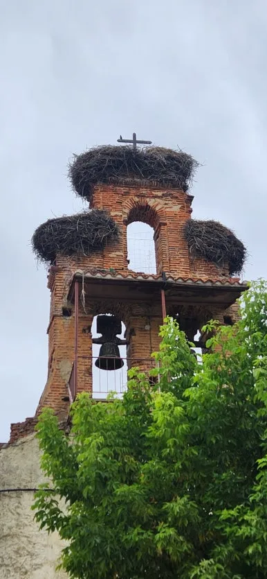 20241005%EF%BC%BF123405.jpg?type=w386