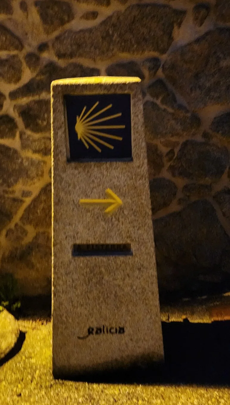 1729883369331.jpg?type=w773