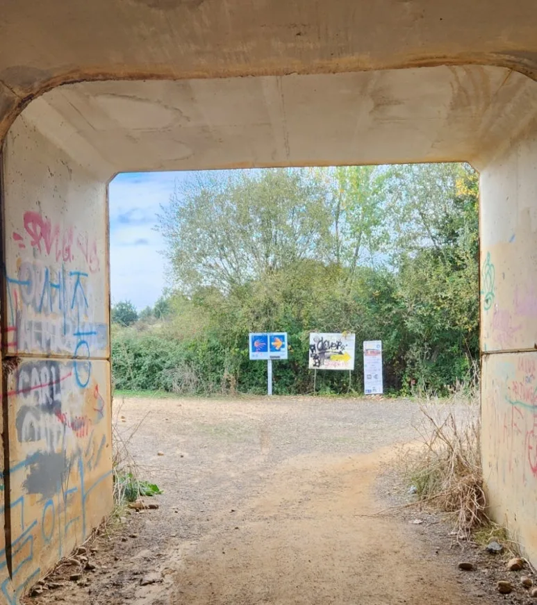 1728154450025.jpg?type=w773