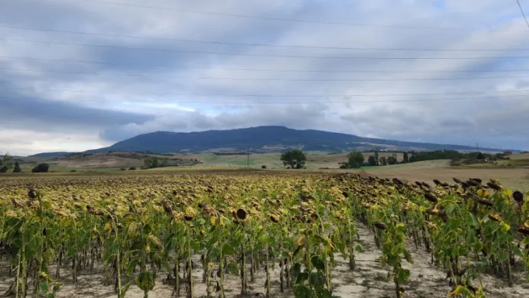 20240911%EF%BC%BF093224.jpg?type=w773