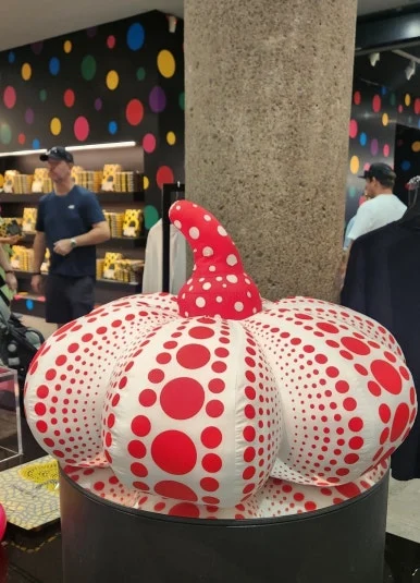 900%EF%BC%BF1736593810229.jpg?type=w386