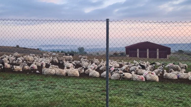 20240923%EF%BC%BF081915.jpg?type=w773