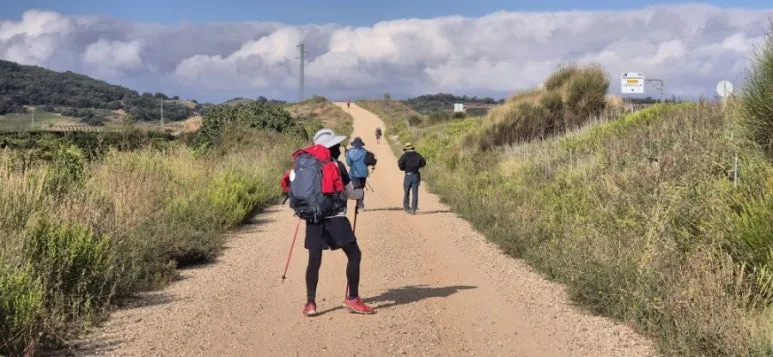 1726675115867%EF%BC%8D4.jpg?type=w773