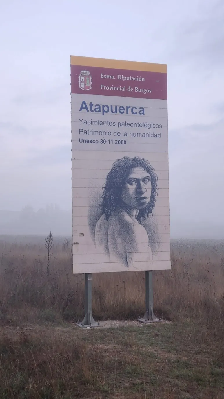 20240923%EF%BC%BF075900.jpg?type=w773