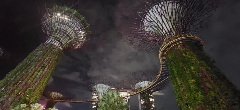 900%EF%BC%BF20250108%EF%BC%BF042717.jpg?type=w773