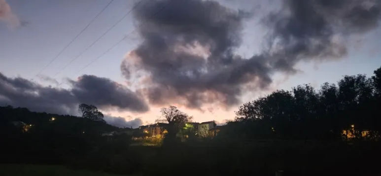 20241013%EF%BC%BF080912.jpg?type=w773