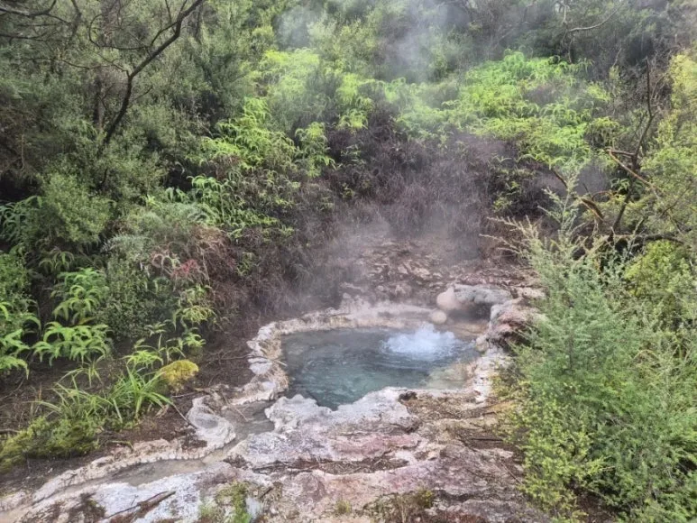 900%EF%BC%BF1737863981394%EF%BC%8D2.jpg?type=w773