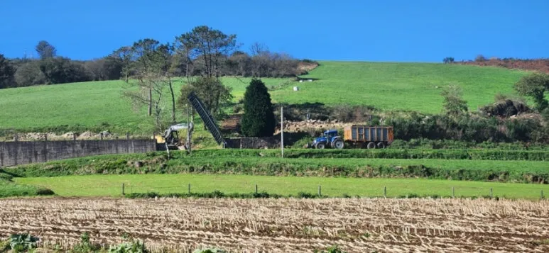 20241023%EF%BC%BF125601.jpg?type=w773