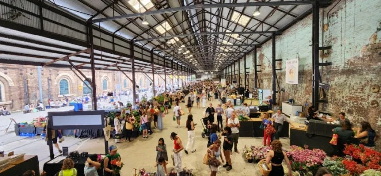 900%EF%BC%BF20250201%EF%BC%BF093552.jpg?type=w773