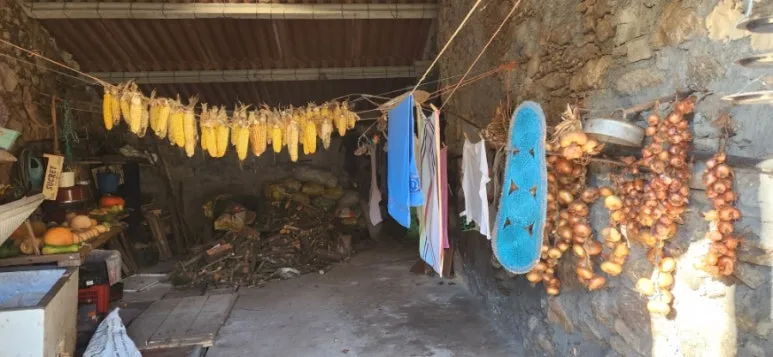 20241023%EF%BC%BF113926.jpg?type=w773