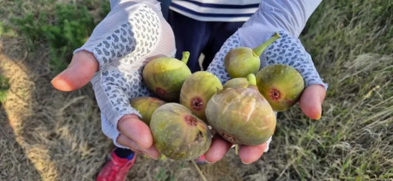 1726675115867%EF%BC%8D5.jpg?type=w773