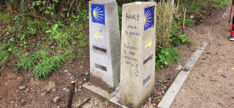 20241017%EF%BC%BF103417.jpg?type=w773