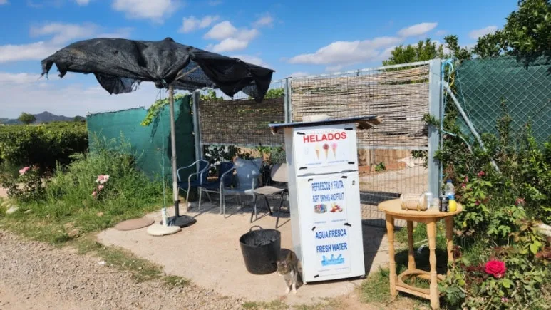 20240918%EF%BC%BF125128.jpg?type=w773