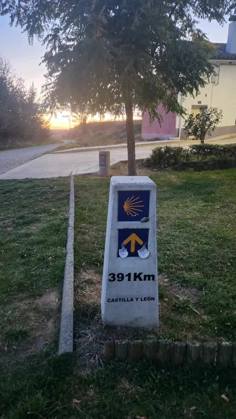 20240930%EF%BC%BF202319.jpg?type=w773