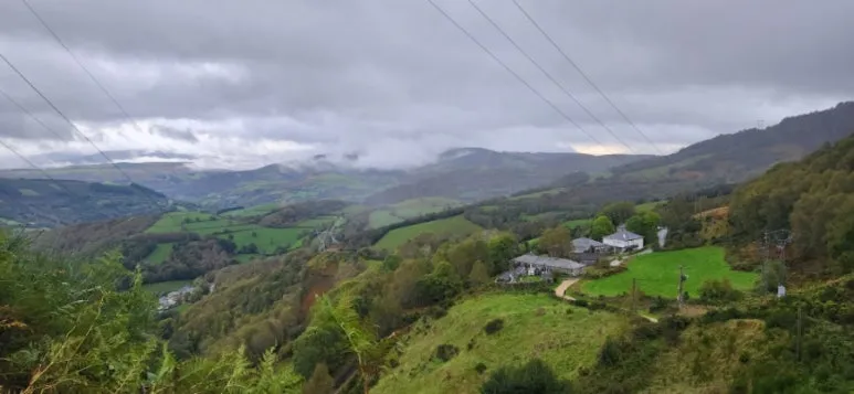 20241012%EF%BC%BF091900.jpg?type=w773