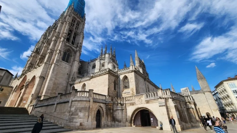 20240923%EF%BC%BF172400.jpg?type=w773