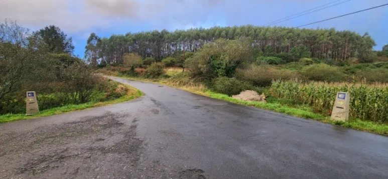 20241025%EF%BC%BF092024.jpg?type=w773