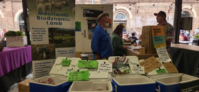 900%EF%BC%BF20250201%EF%BC%BF100248.jpg?type=w773