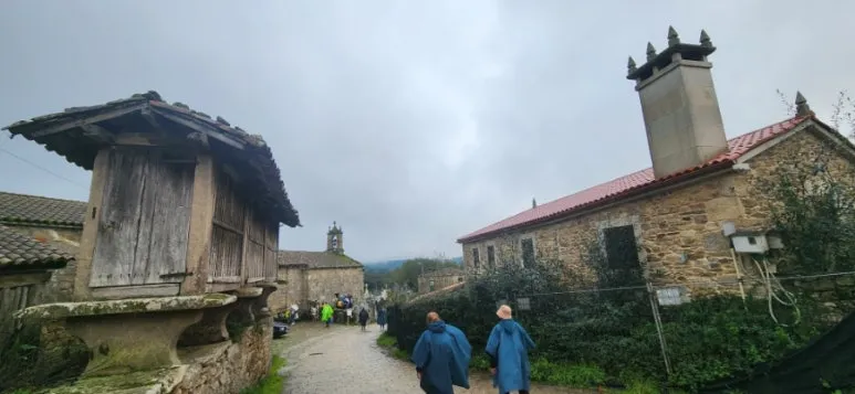 20241016%EF%BC%BF092534.jpg?type=w773