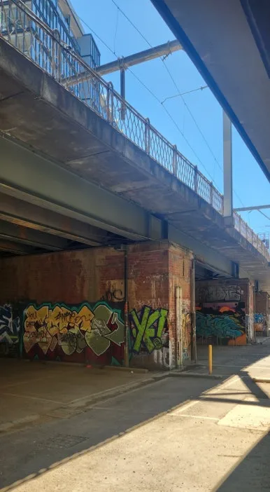 900%EF%BC%BF1736593473863.jpg?type=w386