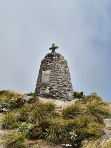 900%EF%BC%BF1737447722950%EF%BC%8D14.jpg?type=w386