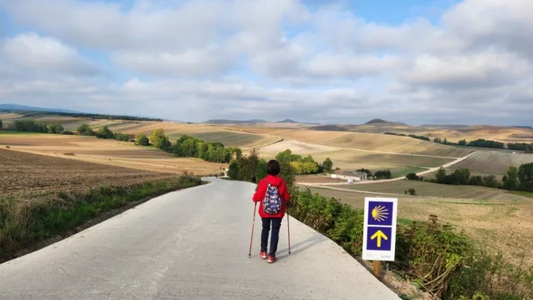 20240920%EF%BC%BF100922.jpg?type=w773