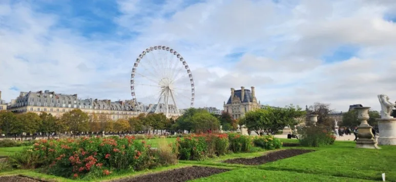 20241028%EF%BC%BF132223.jpg?type=w773