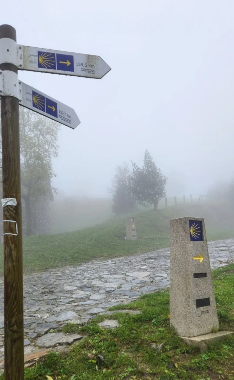 1728671924121.jpg?type=w773