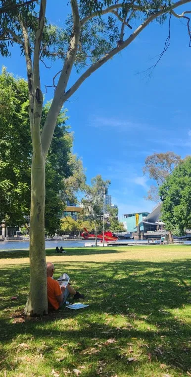 900%EF%BC%BF1736593485116.jpg?type=w386