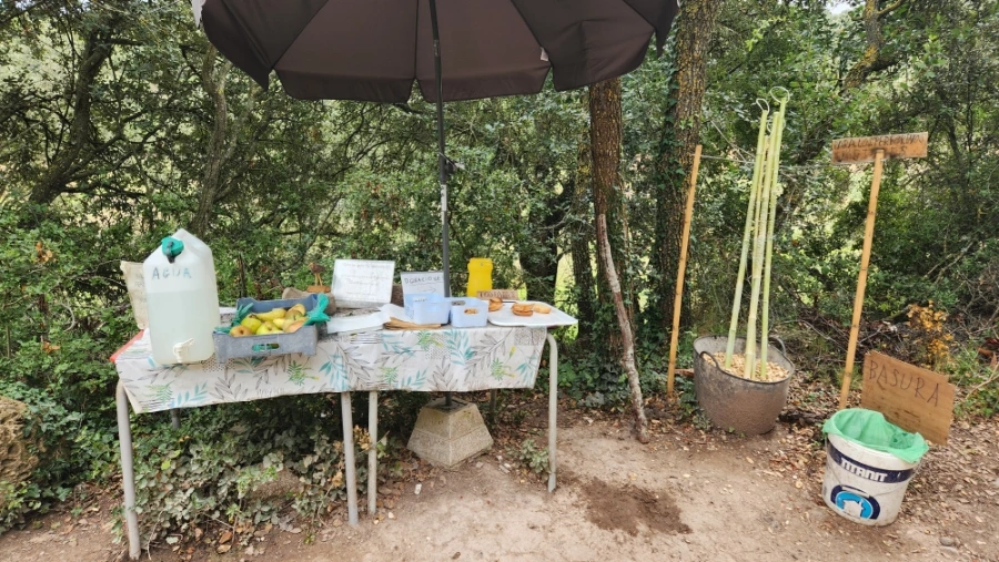 20240912%EF%BC%BF140608.jpg?type=w1