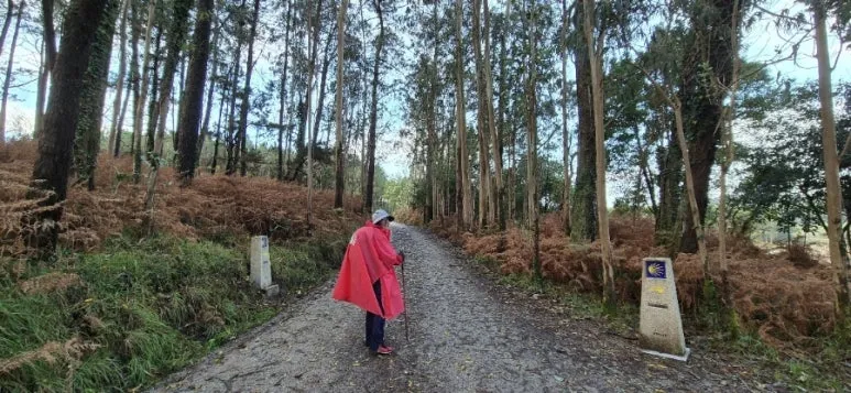 1729880232094.jpg?type=w773