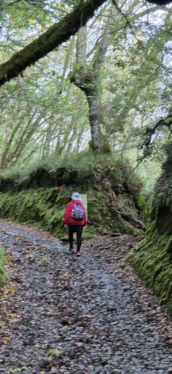 1728820721366%EF%BC%8D3.jpg?type=w773