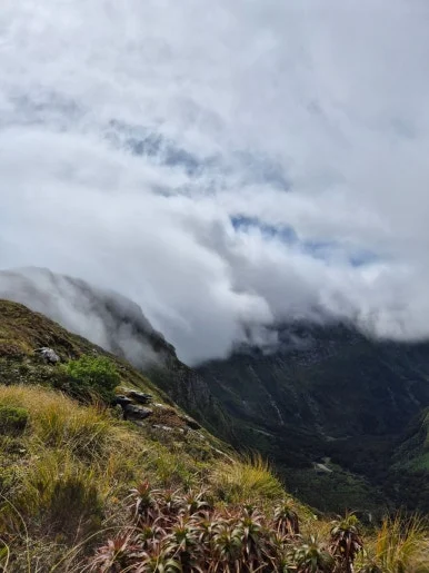 900%EF%BC%BF1737447722950%EF%BC%8D17.jpg?type=w386