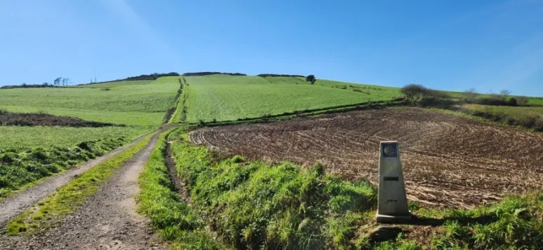 20241023%EF%BC%BF133338.jpg?type=w773