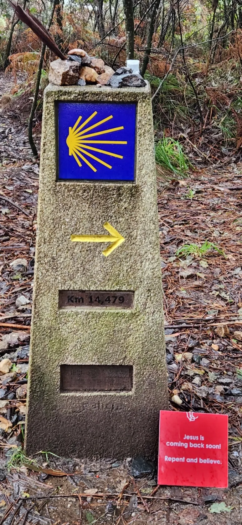 20241019%EF%BC%BF093835.jpg?type=w773