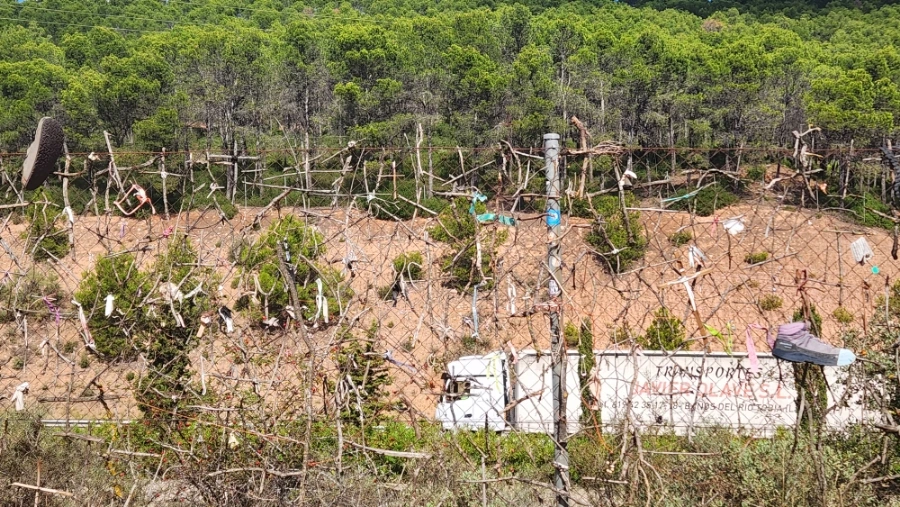 20240917%EF%BC%BF124350.jpg?type=w3840