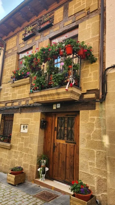 20240920%EF%BC%BF100431.jpg?type=w386