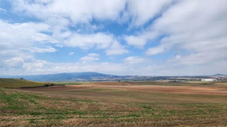 20240919%EF%BC%BF133747.jpg?type=w773