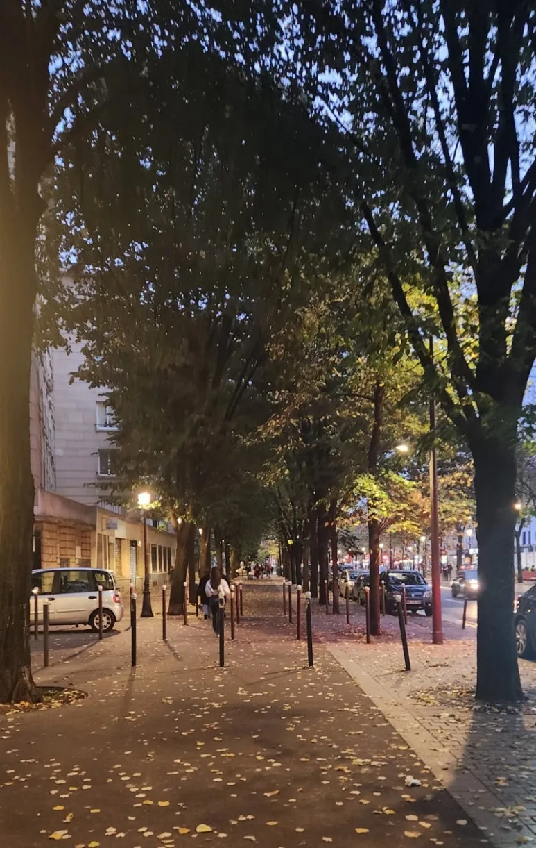 1730060319571.jpg?type=w773