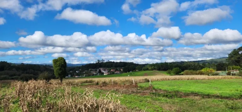 20241022%EF%BC%BF125129.jpg?type=w773