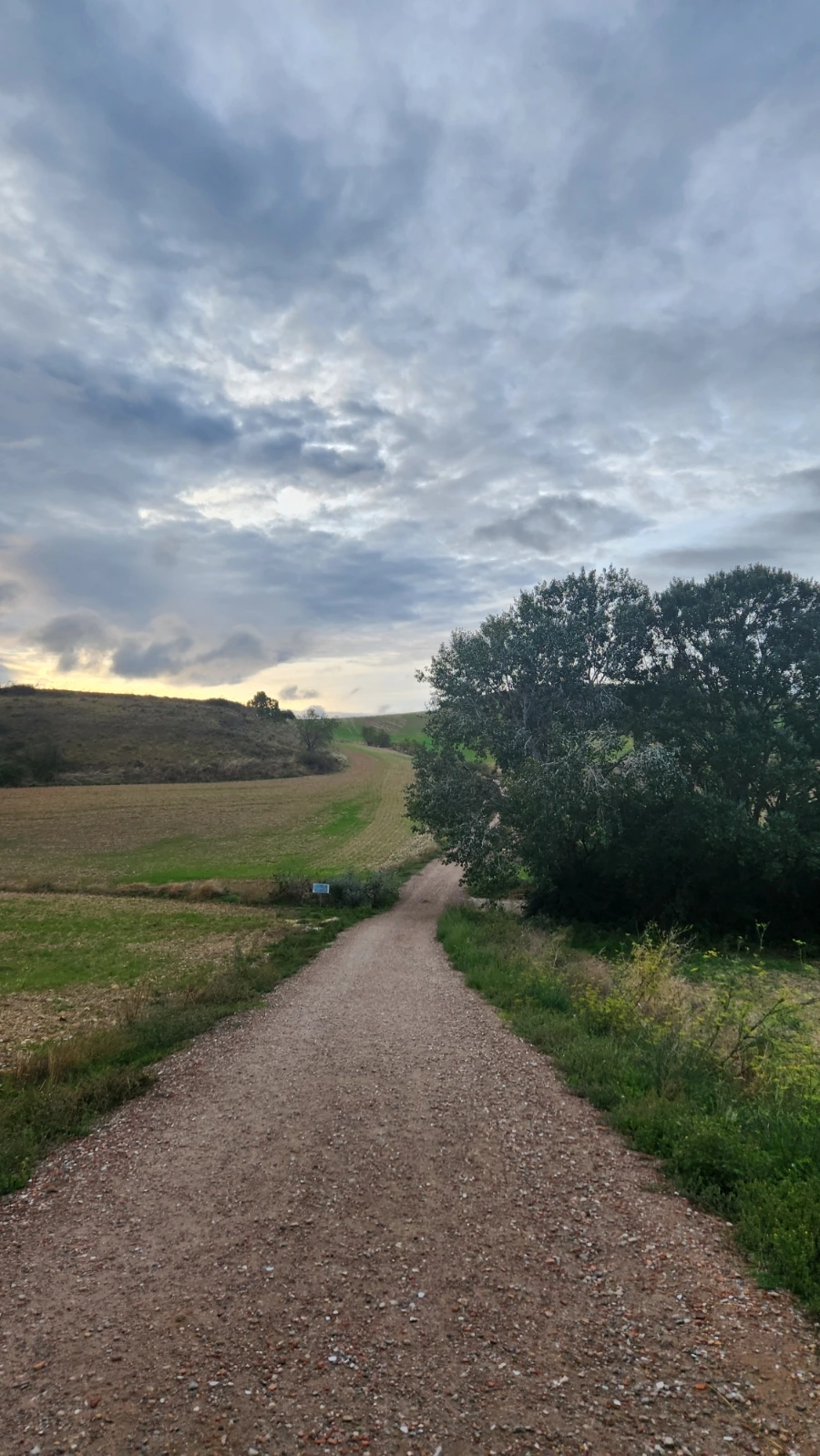 20240912%EF%BC%BF075629.jpg?type=w1