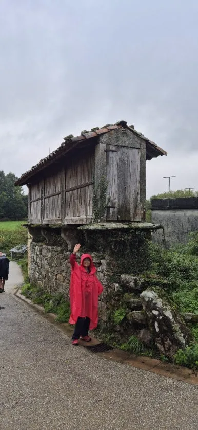 1729079316560.jpg?type=w386