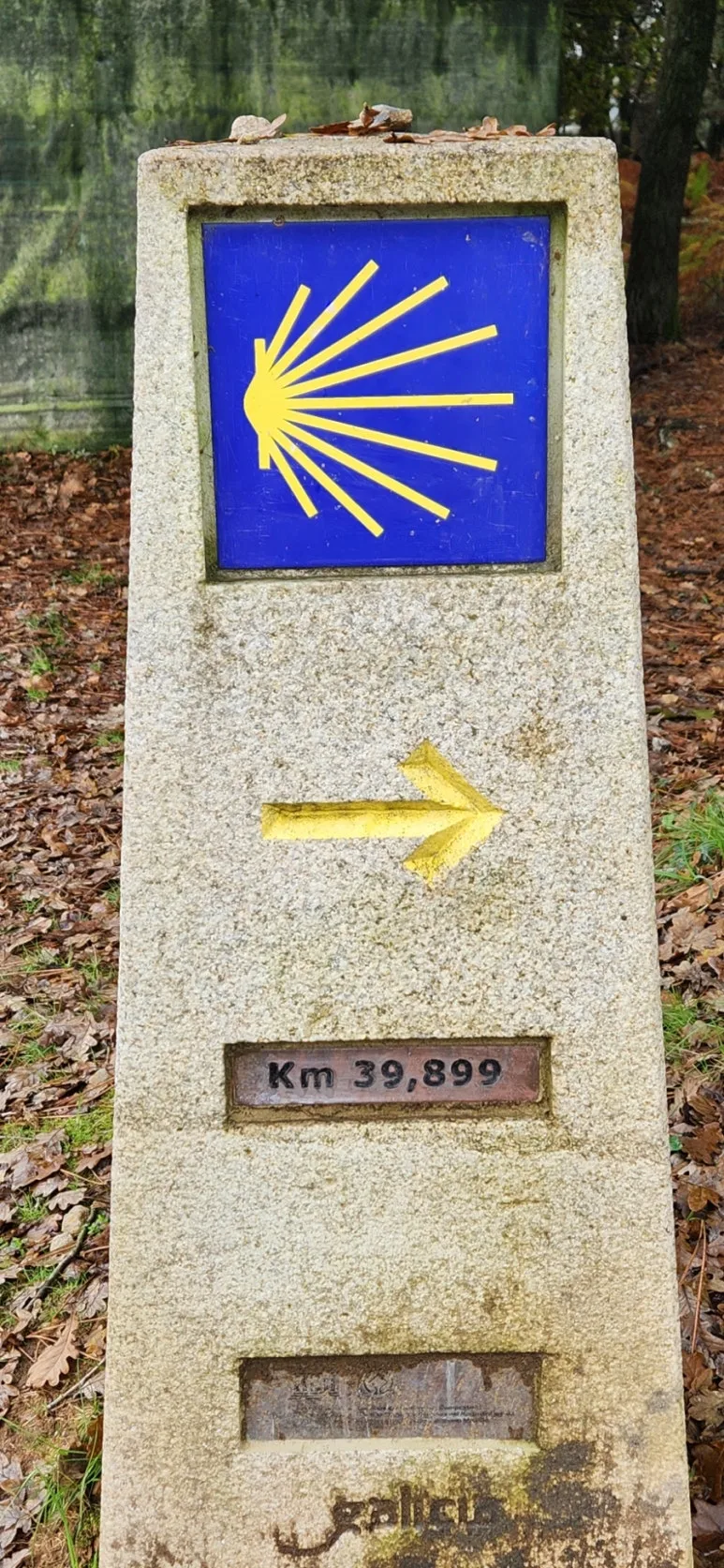 20241017%EF%BC%BF120730.jpg?type=w773